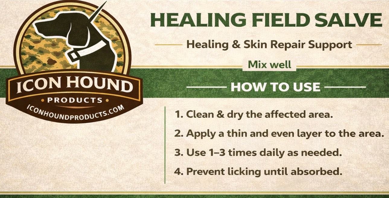 Healing Field Salve