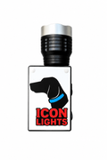 Handheld Light